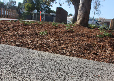 Driveways 16 Tree Protection Zone